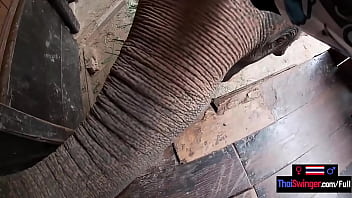 Asian teen girlfriend rode on an Elephant before pushing back on his big dick